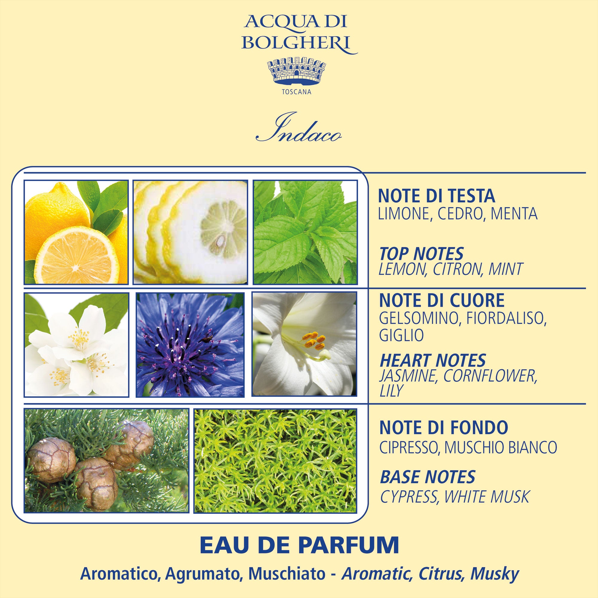 Eau de Parfum - Indaco 50ml - Unisex - Cypress, Cederträ, Jasmin