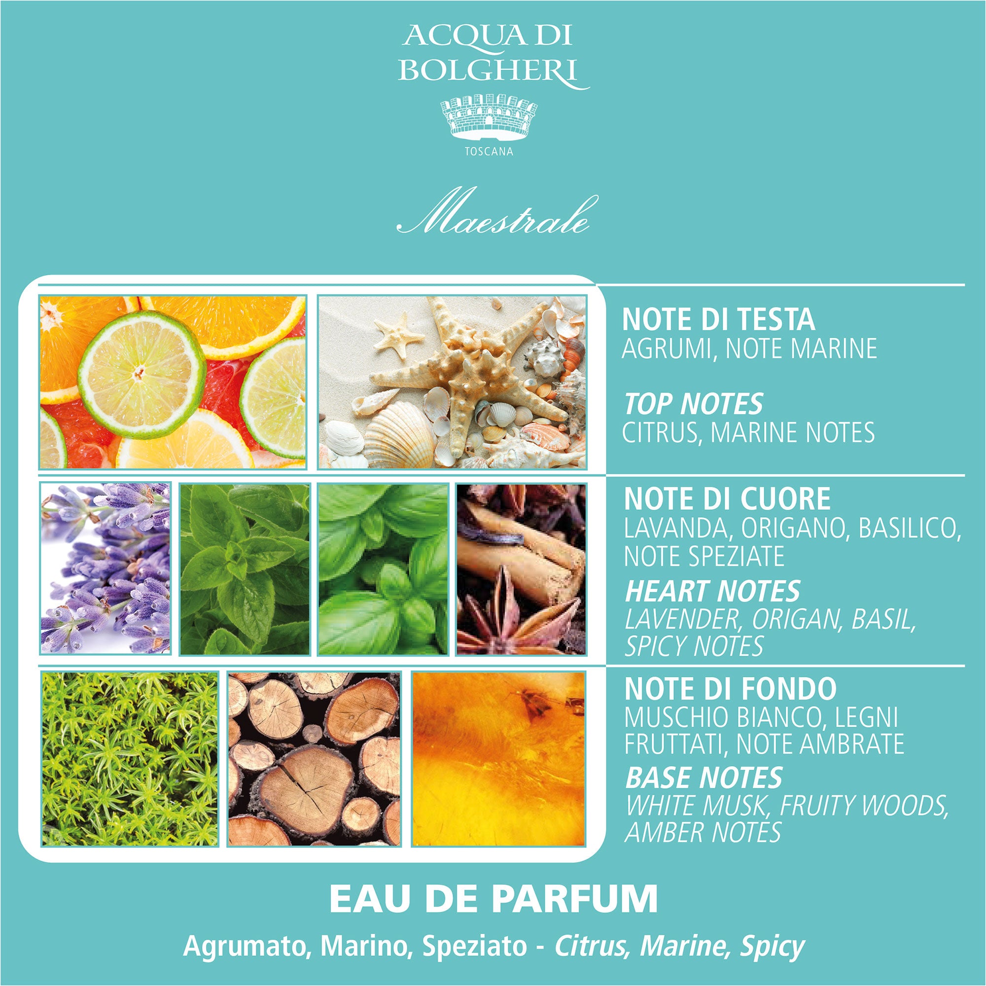 Eau de Parfum - Maestrale 50ml - Unisex - Marina Noter, Lavendel & Havssalt
