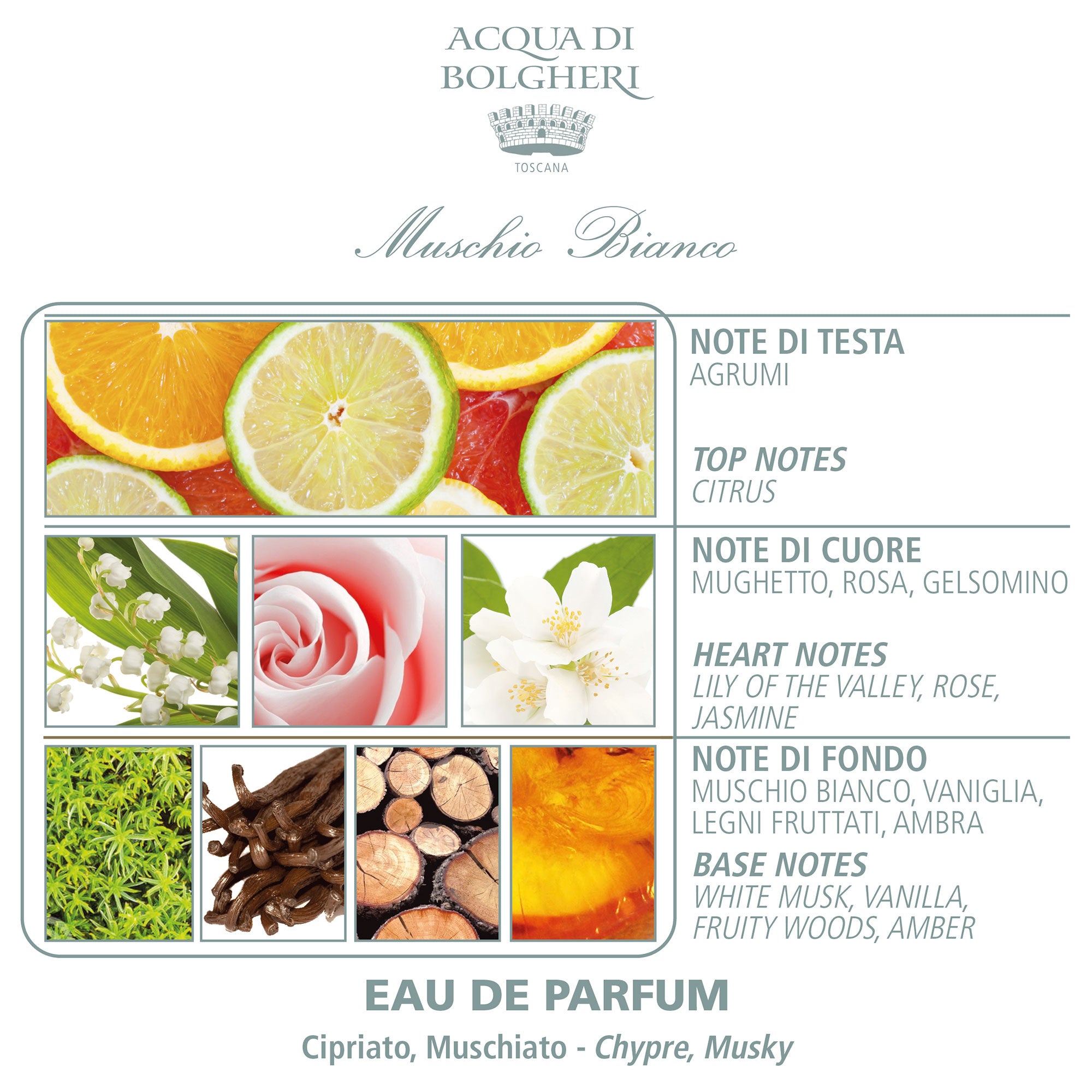 Eau de Parfum - Muschio Bianco 50ml - Dam - Ros, Jasmin & Citrus