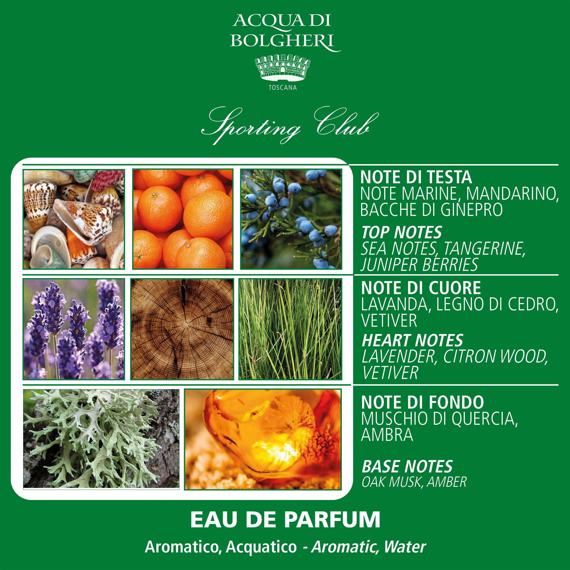 Eau de Parfum - Sporting Club 50ml - Herr - Marina Noter, Bärnsten & Citrus