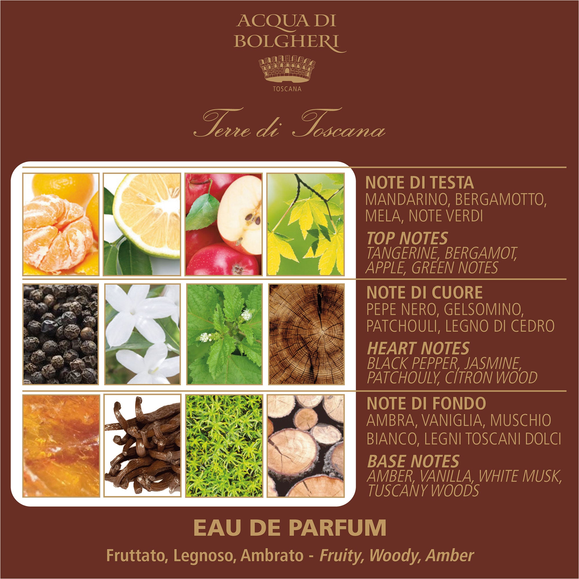Eau de Parfum - Terre di Toscana 50ml - Unisex - Toskanska Träslag, Bärnsten & Mandarin