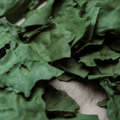 Organisk spirulina